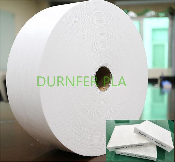 Biodegradable PLA MB Fabric